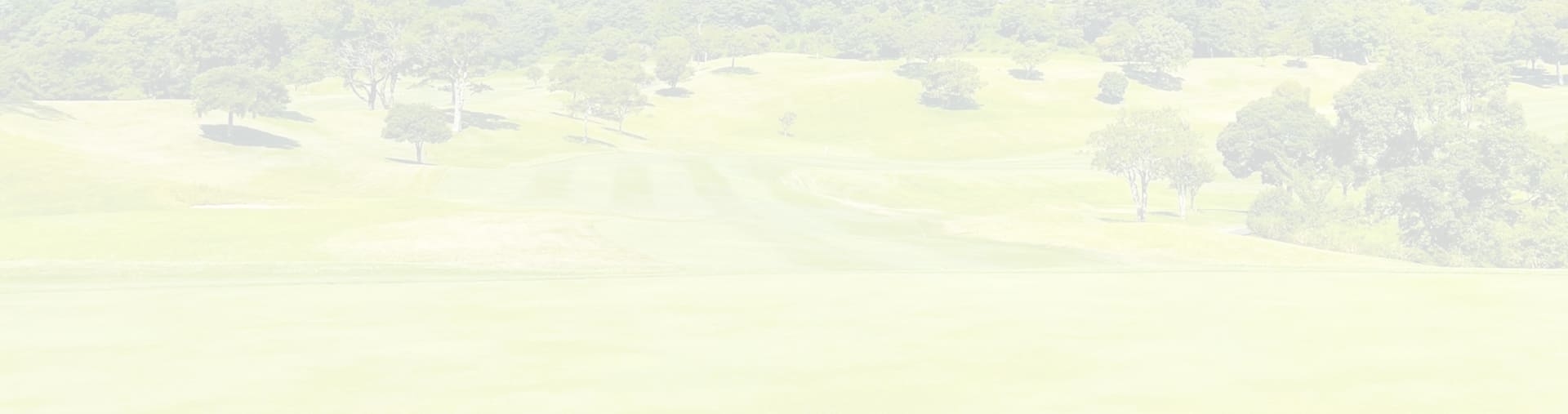 top_bg.jpg